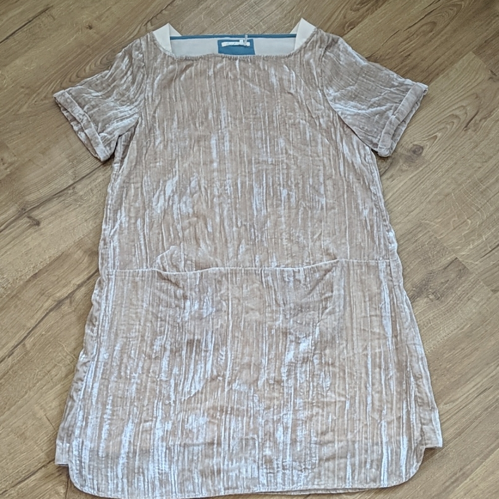 Shimmery velvet champagne dress